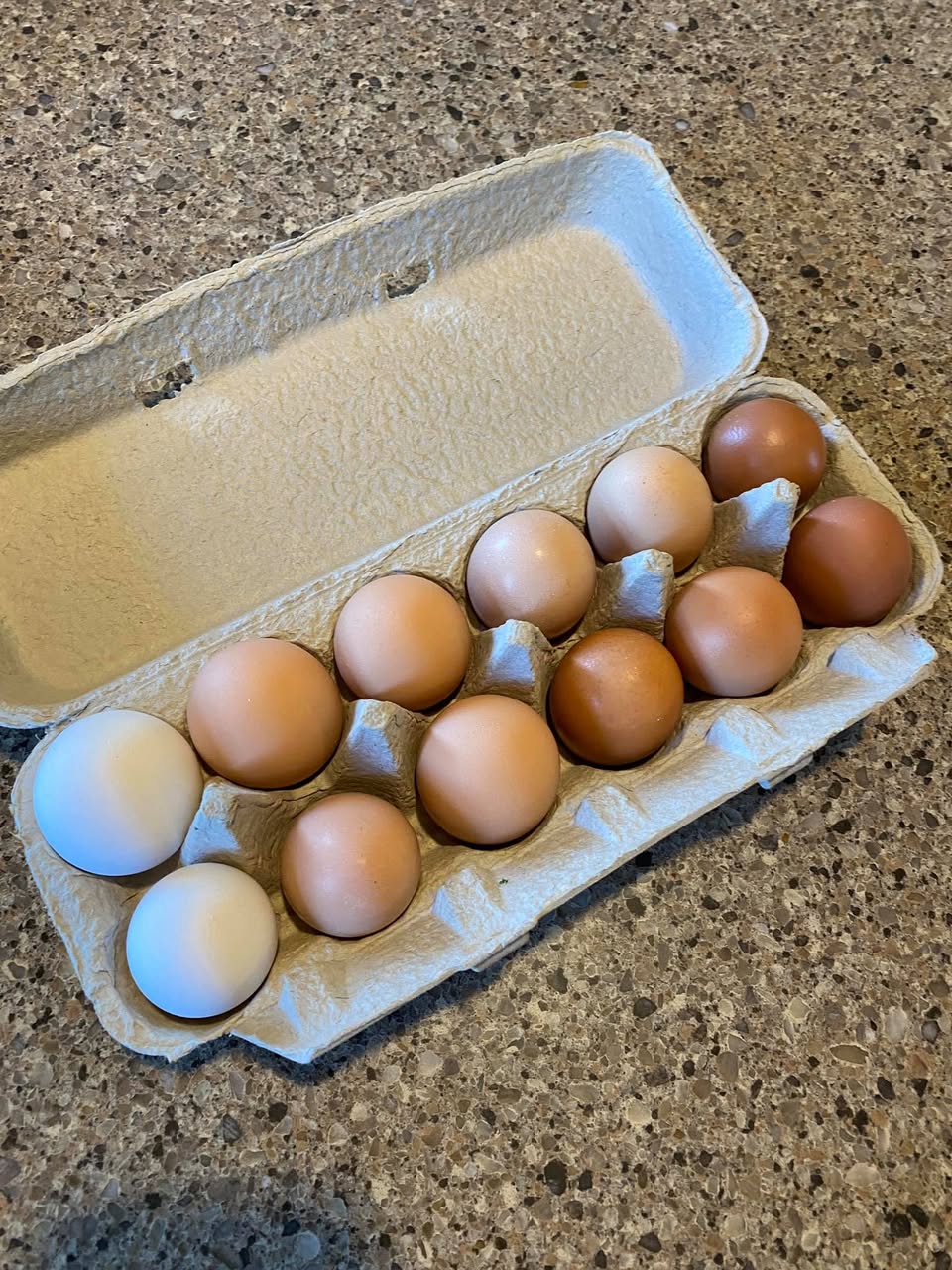 Farm-Fresh Eggs Dozen Carton
